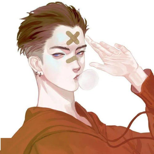 十二星座男生专属恶魔头