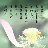 诗情画意文字头像微信头像图片大全