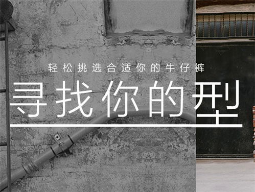  选购合身levis牛仔裤,看懂这些版型就行