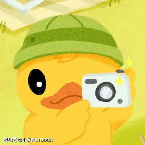  ltduck小黄鸭白露