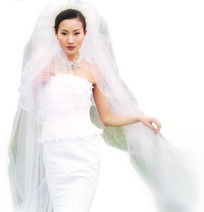  穿白色婚纱的戴头纱的女子下载747061