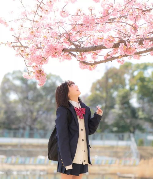  jk制服岛国女生可爱的秘密,就在这一件小小的衣服里