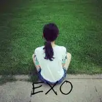  求exo的情侣头像要卡通的,不是真人的,可爱一点的急急急急急急急急急急急急急