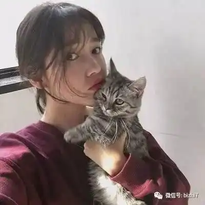  抱猫头像,微信头像女高清