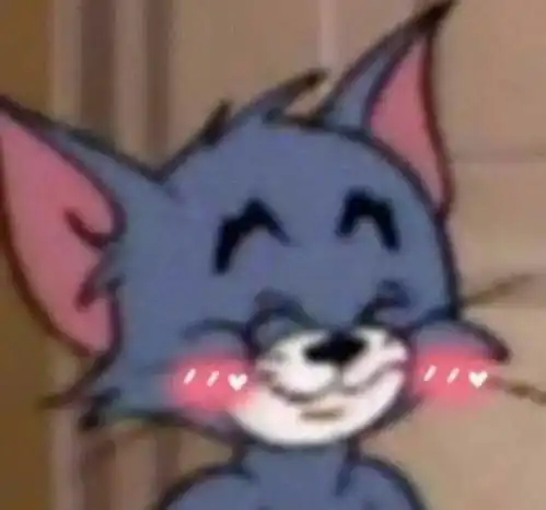 有关于猫的情侣头像猫和