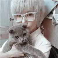 有关于猫的情侣头像女生
