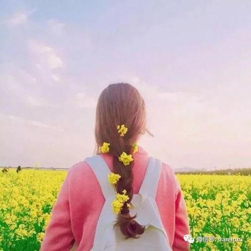  天津人最想征服的几座山你征服了几座
