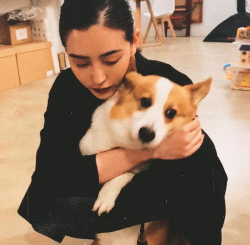 女生和狗狗的高清头像