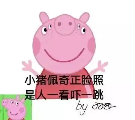  社会人小猪佩奇你们还不知道我有多火