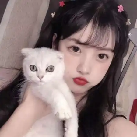  女生抱猫头像,女生抱猫头像真人