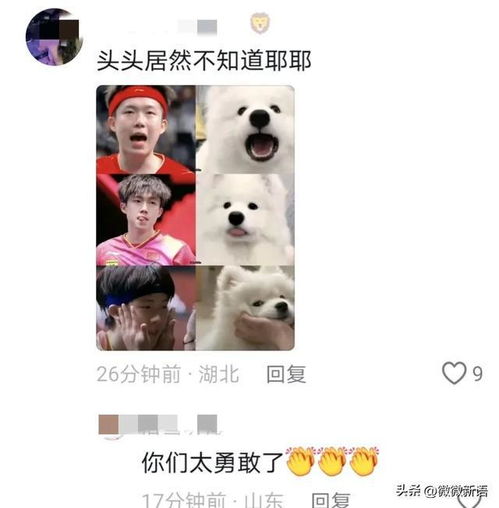 国乒休假莎莎迪亚兹在河北见面,大头不知道波妞,coco去九寨沟