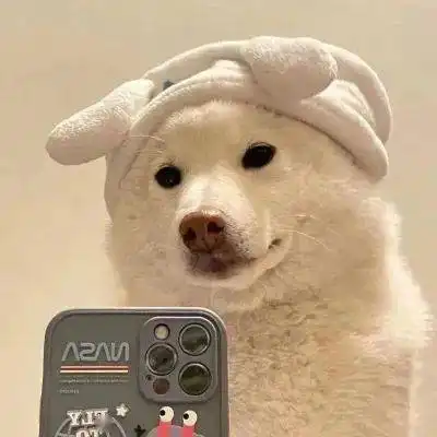 萌宠情侣头像女生