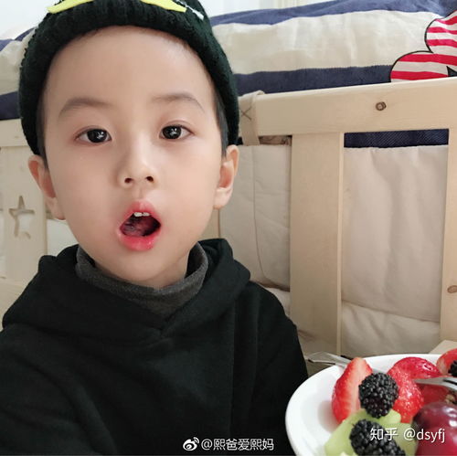  微博上有哪些男帅女美娃萌的网红家庭