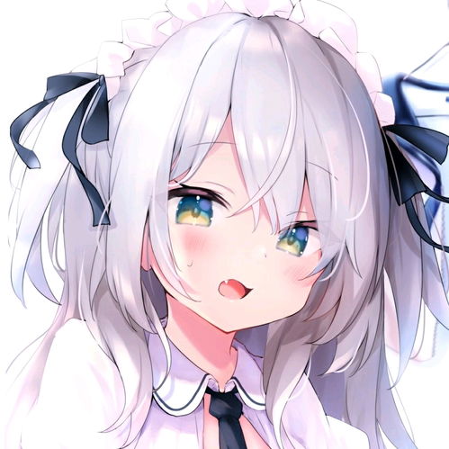  可爱二次元女头十七