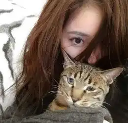  杨幂养的猫居然出道拍广告了瞬间涨好几万粉丝