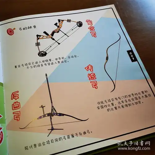  跟奥运冠军学射箭漫画版