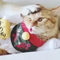  柴犬荡秋千情侣头像一左一右