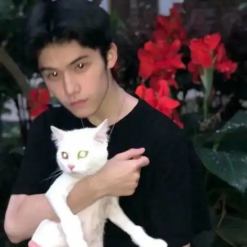 抱猫的情侣头像情侣