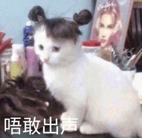 头像女生沙雕可爱练车
