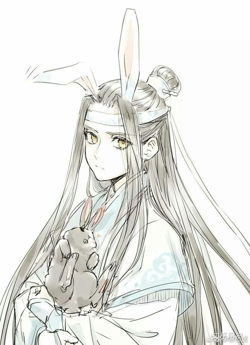  哪位大神可以给我一些魔道祖师的图片,谢谢,特别是汪叽和羡羡