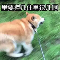  情侣头像玩对了,老师看到也当没看到,学生情侣还不安排一下