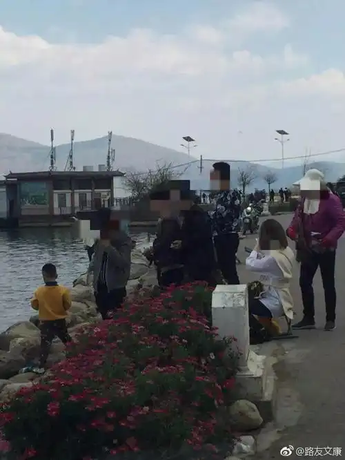  网曝一男子在大理洱海边棒打海鸥视频刷爆朋友圈,网友怒了视频
