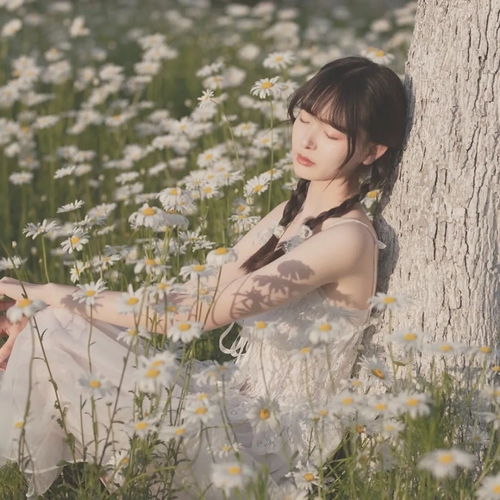  清新可爱的小雏菊真人女生头像