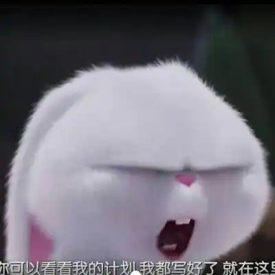  兔子头像