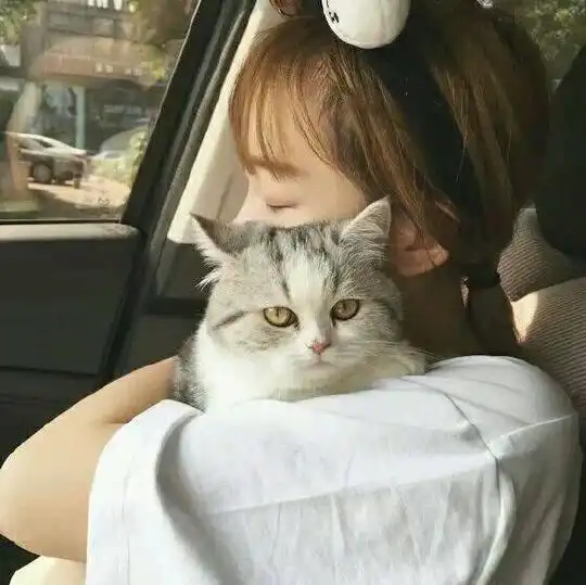  可爱猫猫情侣头像一对两张