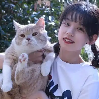 想当你怀里的猫,情侣头像