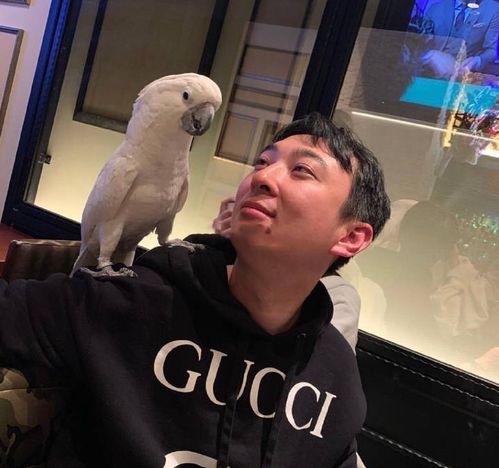  他才是最幸运的男主角,王思聪也不及,不但有钱身份还尊贵