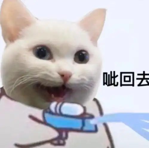 情侣猫头像超萌一对古风