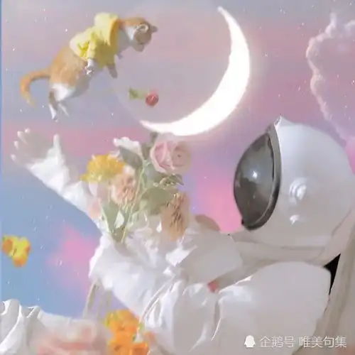 十二星座情侣头像2021年