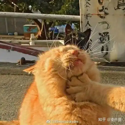  曾经被班里的坏孩子侮辱过吗