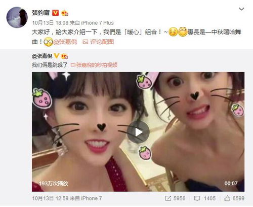  温暖的弦张嘉倪张钧甯片场秒变喵少女