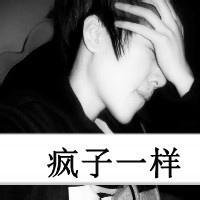  独霸狗狗照片独霸狗狗相册大全yy官方