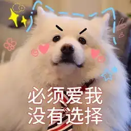  适合情侣用的萌宠表情包,萌出天际
