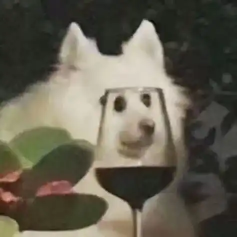  每日一冷