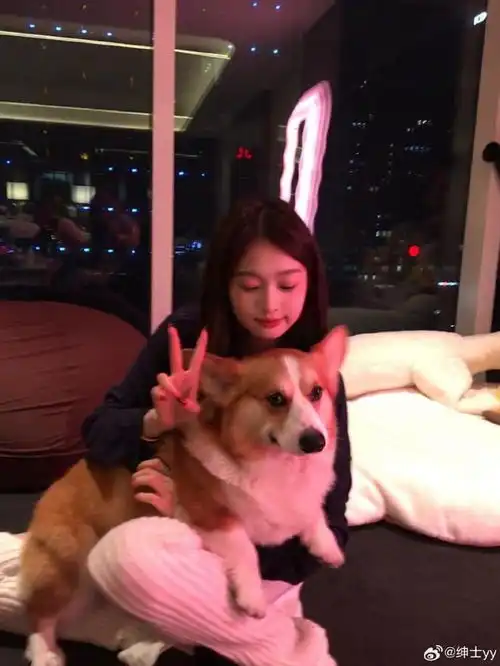  王思聪冷处理小羽,带保姆和爱犬离开,小羽不甘被甩追去上海