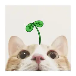  最近有点热爱粉头发妹子