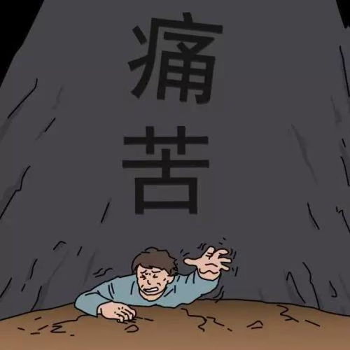  镇海一对女同嫁给男同,被家里催着生孩子,好尴尬