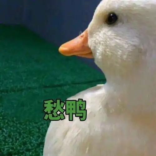  李佳琦突然换情侣头像官宣金靖是假的,但他是真的
