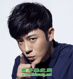  长脸直发男生的发型图片可爱还有点时尚味道