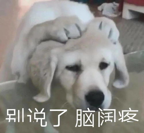  沙雕室友才艺大赏这都是什么鬼才啊