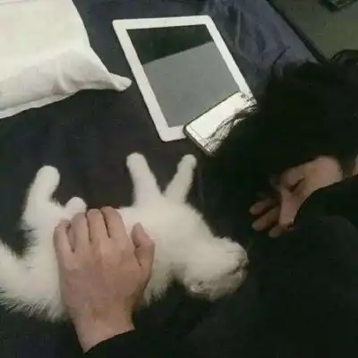  个性男头.有猫有你