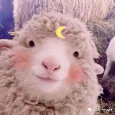  有没有超级无敌可爱的动漫小众闺蜜头像