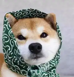 一组猫咪的情侣头像,够沙雕