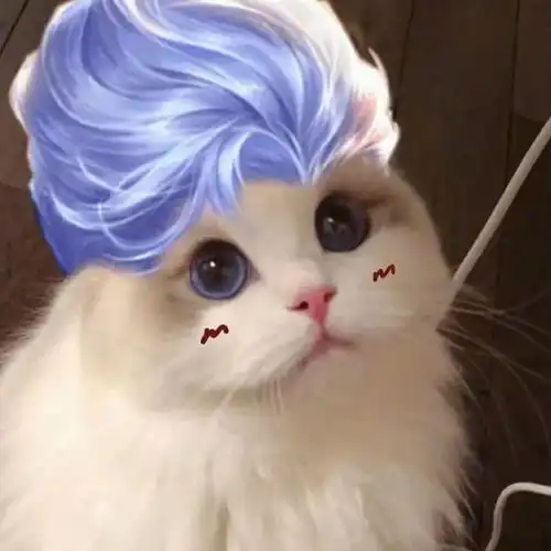 有关于猫的情侣头像王者
