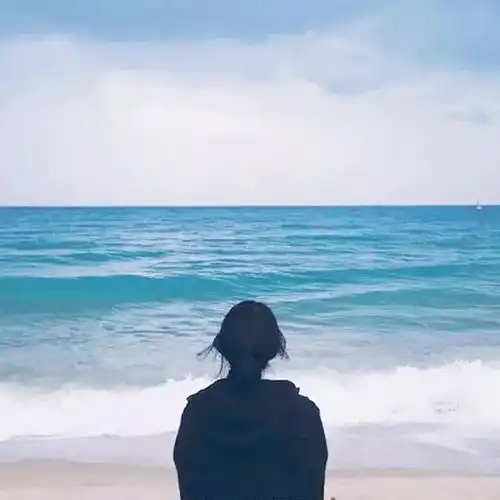 司马懿是如何在三国乱世中立足的