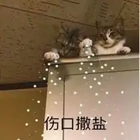  撒盐哥微信表情包微信头像图片大全